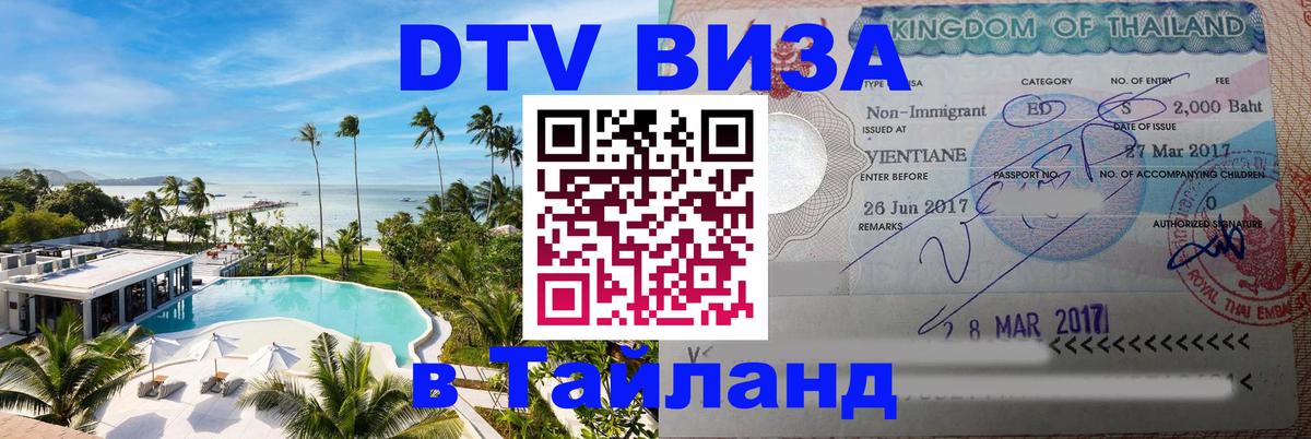 Оформление DTV визы под ключ: стоимость и тарифы, только загранпаспорт - Анкара 